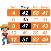 Camisa Flanelada Xadrez Junino Vermelho e Azul C/ Lenço e Gravata