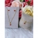 Conjunto Colar Brinco e Pulseira Branca Neve Maçã