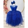 Vestido Infantil Azul Royal Renda Realeza Tule C/ Glitter