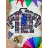 Camisa Flanelada Xadrez Junino Verde e Vermelho C/ Lenço e Gravata